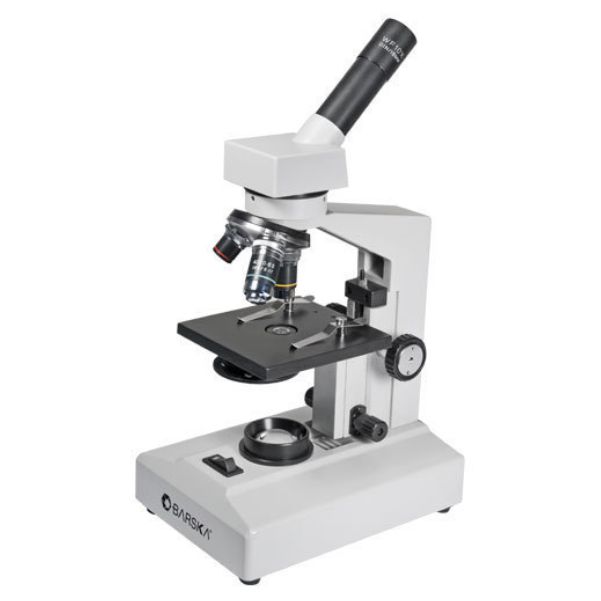 light microscope 400x